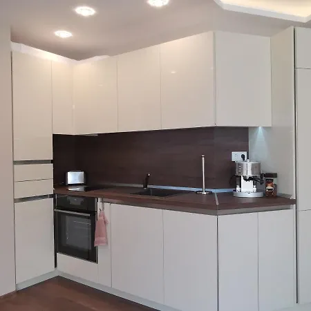 Center Lux Apartment *